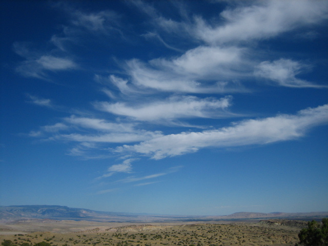 Picture 130