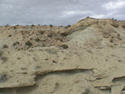 DSC00131.JPG
