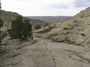 DSC00132.JPG