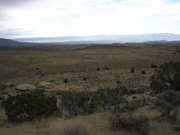 Picture 147