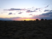 Picture 152