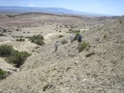 Picture 084