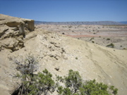 Picture 111
