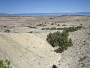 Picture 113