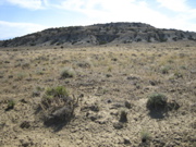 Picture 126