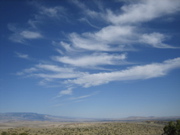 Picture 130