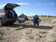 Picture 134