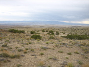 Picture 138