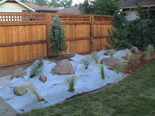 DSC00047.JPG