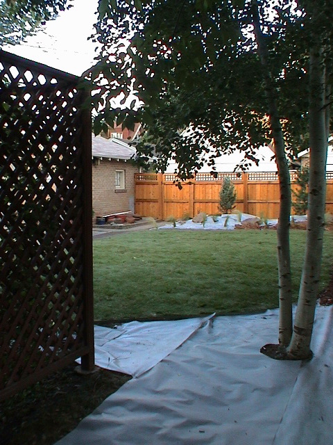 DSC00049.JPG
