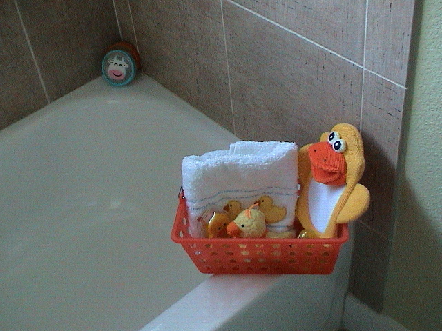 DSC00081.JPG