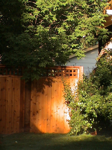 DSC00099.JPG