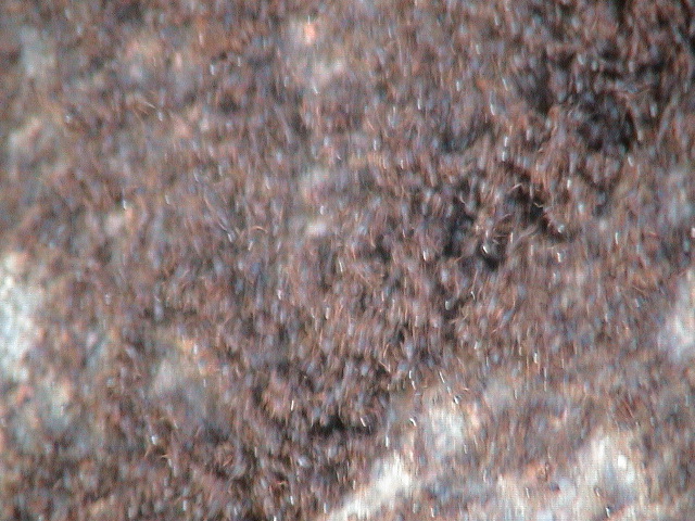 DSC00108.JPG