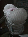 DSC00084.JPG