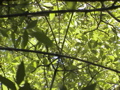 DSC00101.JPG
