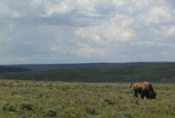 2006_WY 025