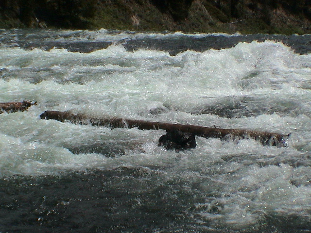 2006_WY 035