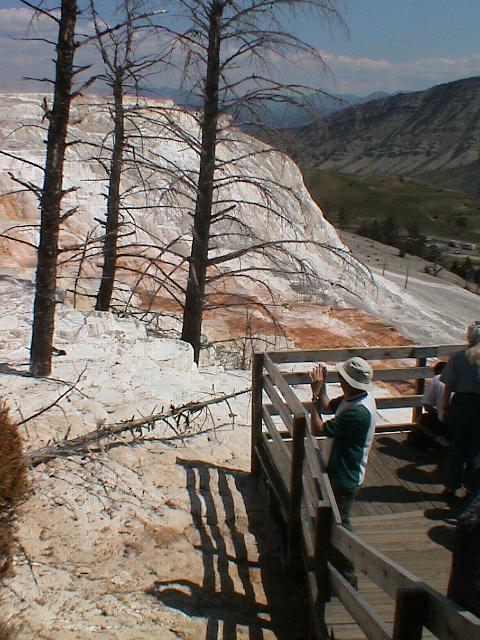 2006_WY 130