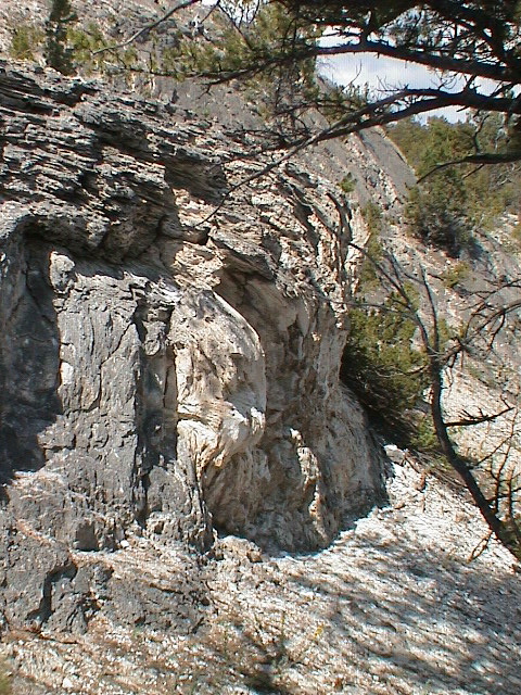 2006_WY 131