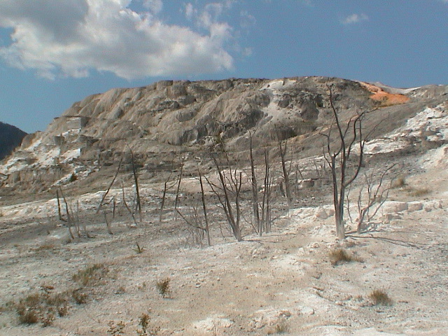 2006_WY 133