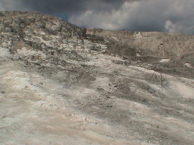 2006_WY 135
