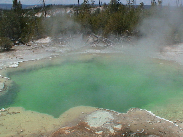 2006_WY 137