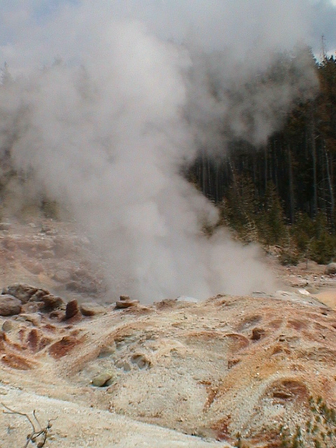 2006_WY 141