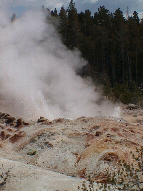 2006_WY 142
