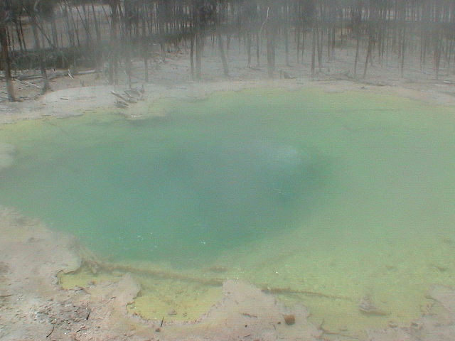 2006_WY 143