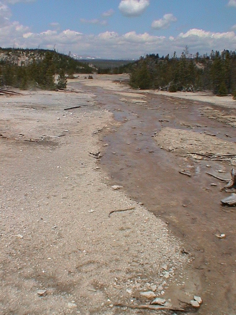 2006_WY 145
