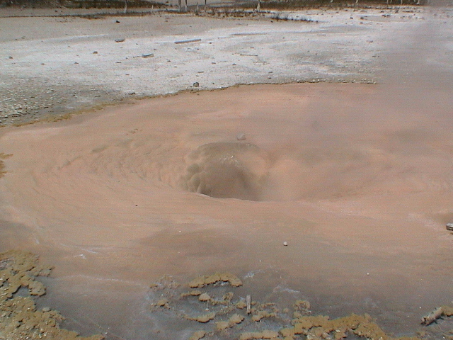2006_WY 146