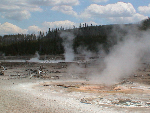 2006_WY 147