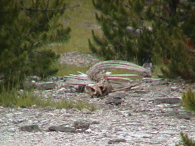 2006_WY 148