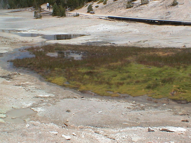 2006_WY 149