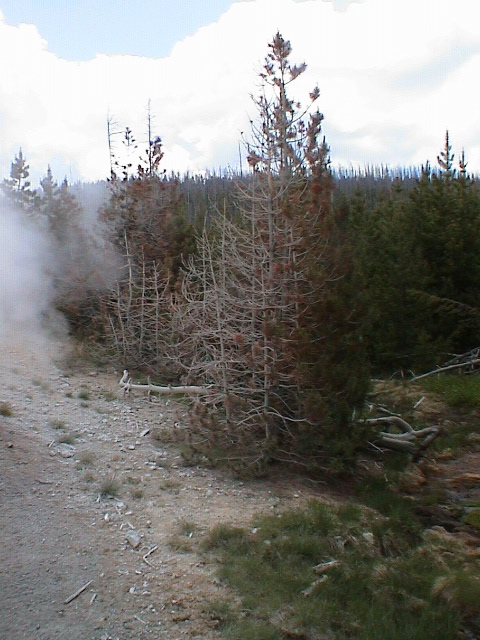 2006_WY 150
