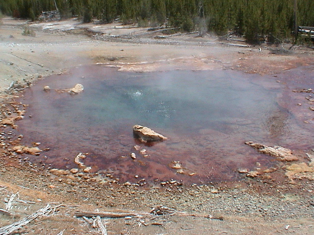 2006_WY 152