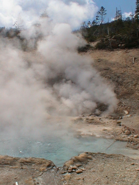 2006_WY 153