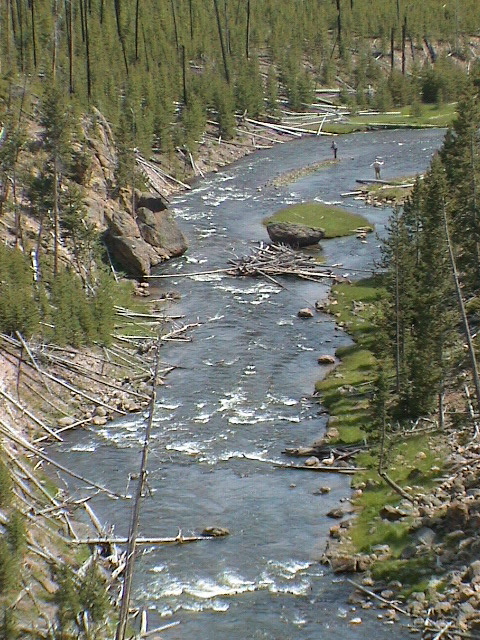 2006_WY 155