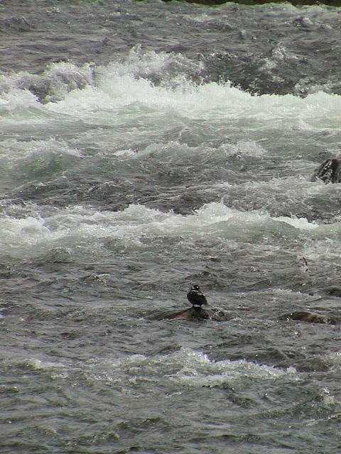 2006_WY 038
