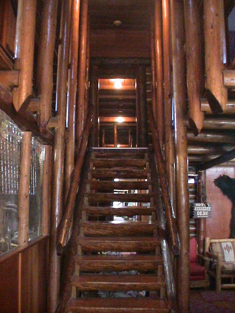 2006_WY 161
