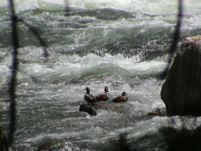 2006_WY 039