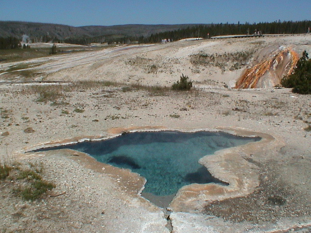 2006_WY 170