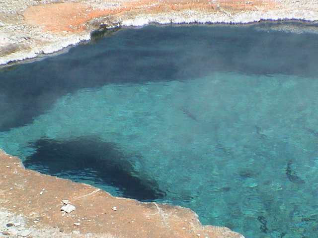 2006_WY 171