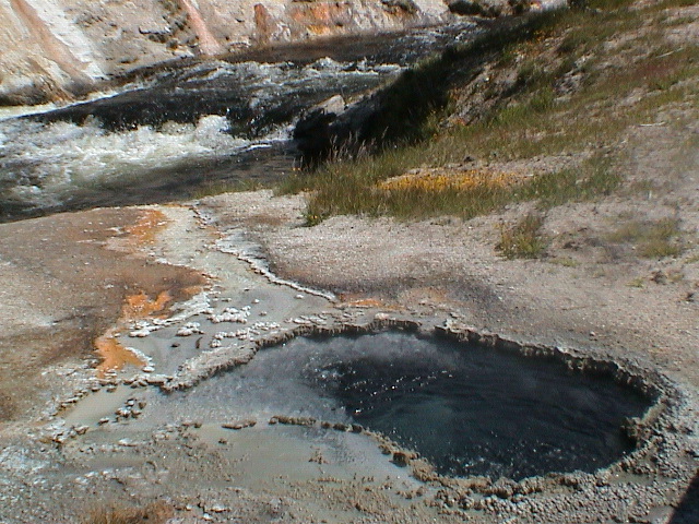 2006_WY 173