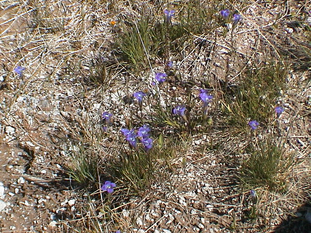 2006_WY 174