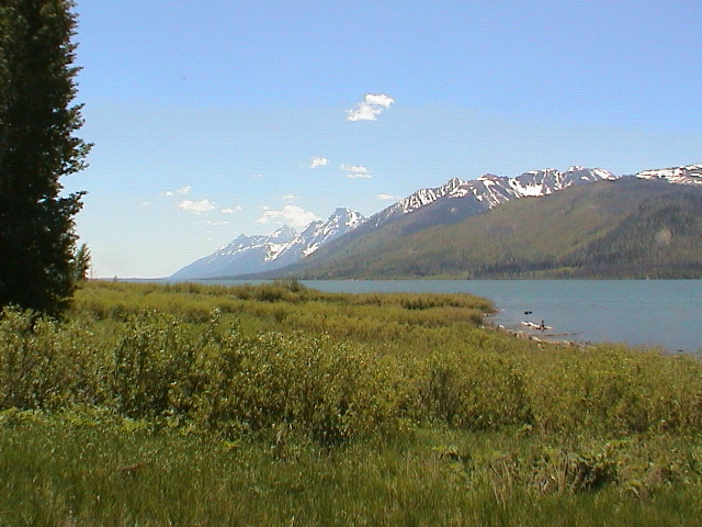 2006_WY 176