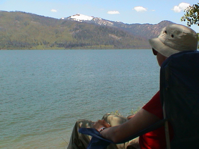 2006_WY 179