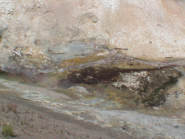 2006_WY 040