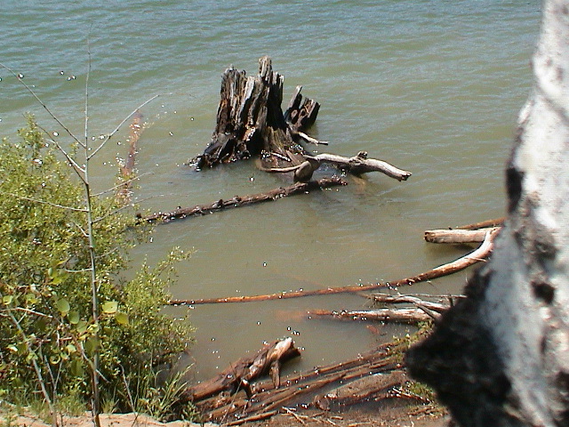 2006_WY 182