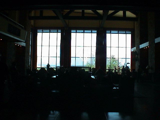 2006_WY 184